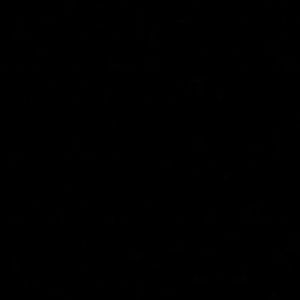 Meet your Posher, Nacho